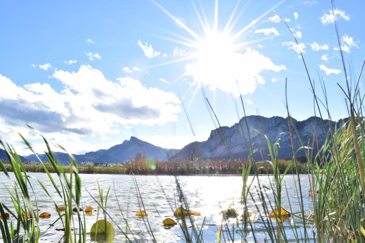 Hotel Drachenwand-mondsee 3*